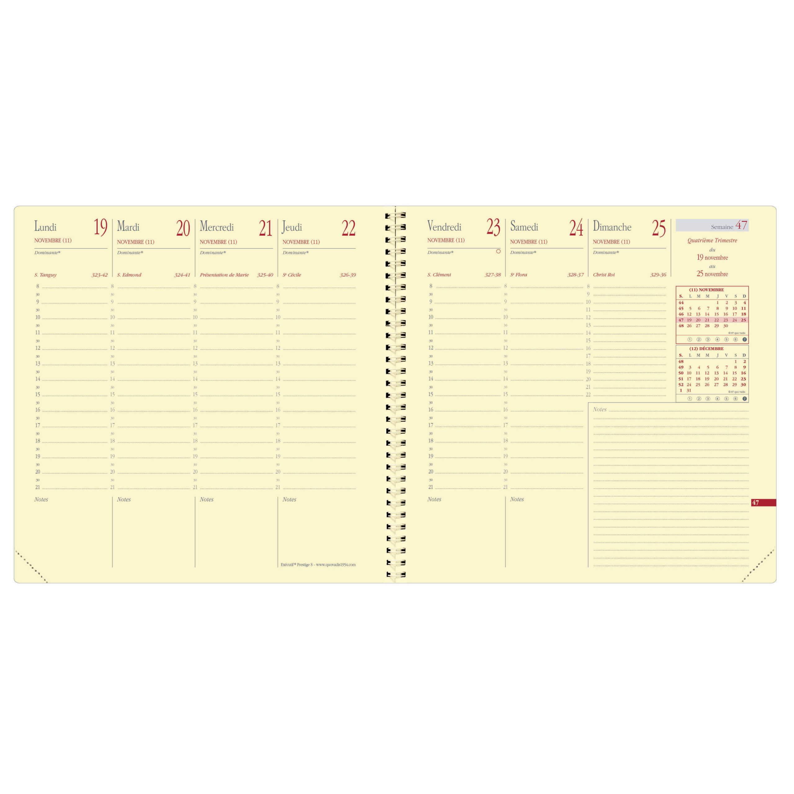 QUO-VADIS Agenda Executif FR Soho 2023 654143Q rose, 1S/2P, 16x16cm