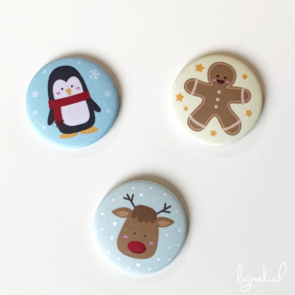 Magnets hiver