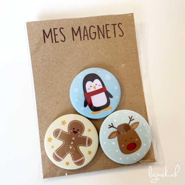 Magnets hiver
