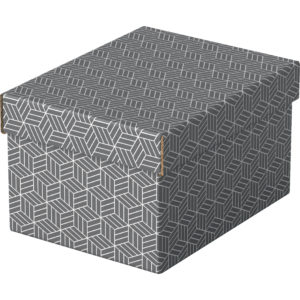 Boîte de rangement ESSELTE