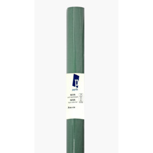 NEUTRAL Papier-cadeau kraft 70cmx4m menthe