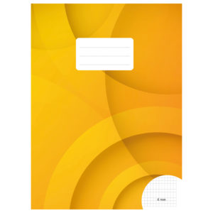 BÜROLINE Cahier d'école A4 533874001 4mm quadrillé sans marge 90g