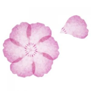 Sticker fleur rose Artoz
